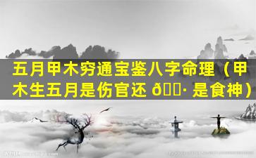 五月甲木穷通宝鉴八字命理（甲木生五月是伤官还 🌷 是食神）